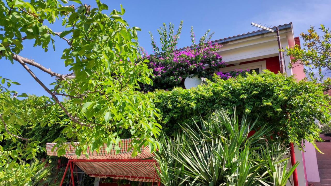 Apartments Paunovic Makarska Exterior photo